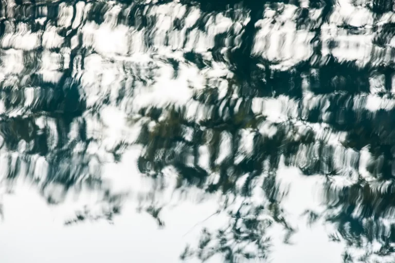 Annette Horn Photography – actually i am still mourning