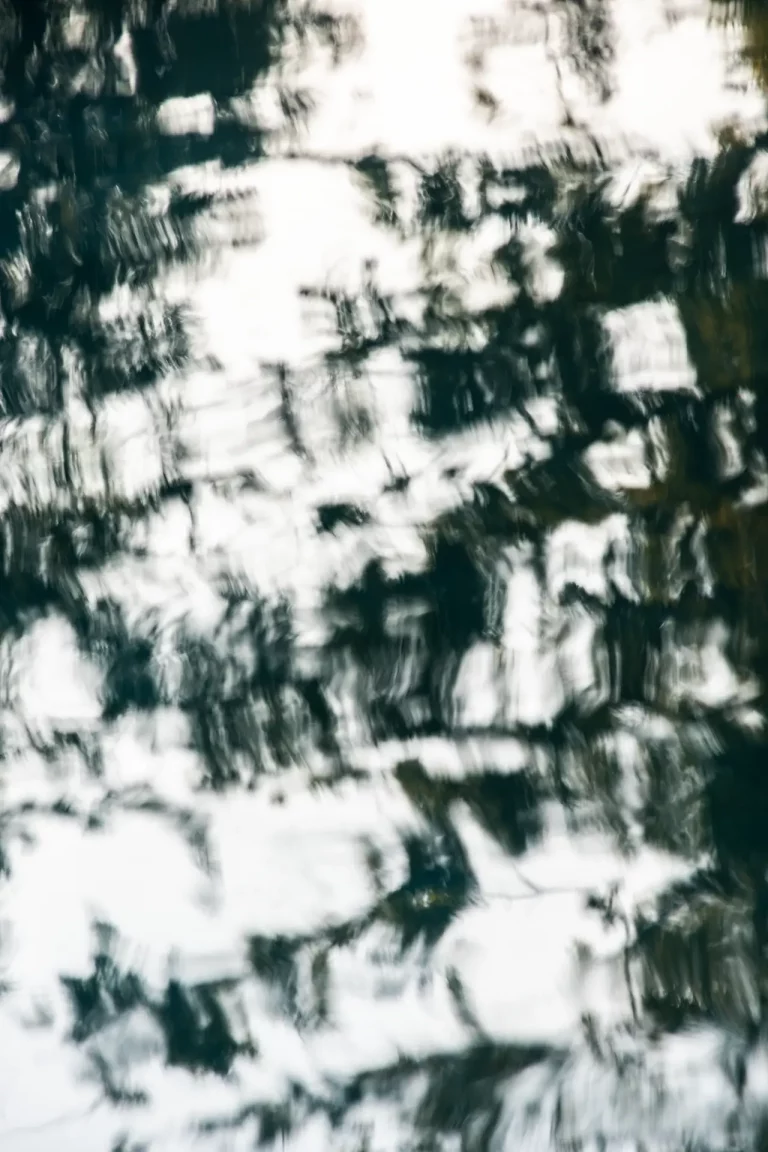 Annette Horn Photography – actually i am still mourning