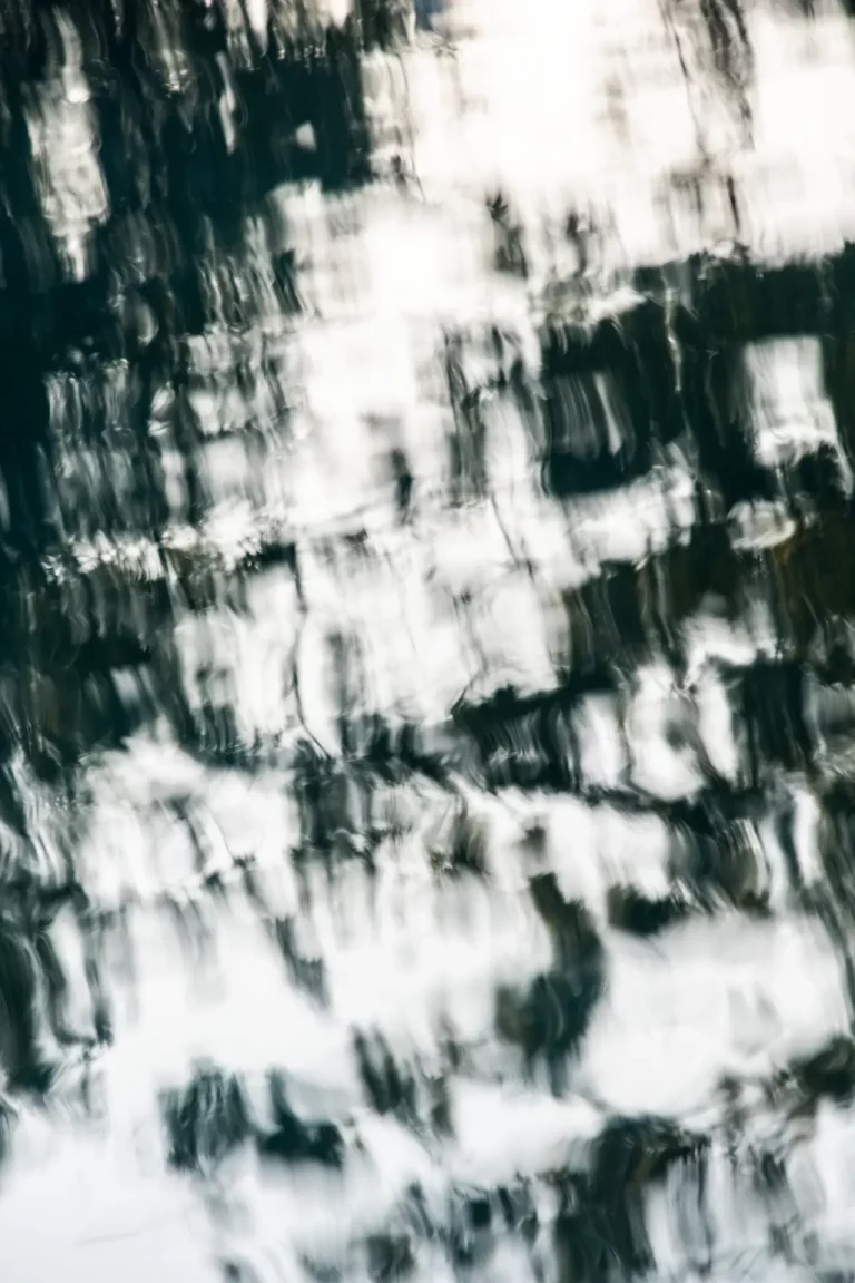 Annette Horn Photography – actually i am still mourning