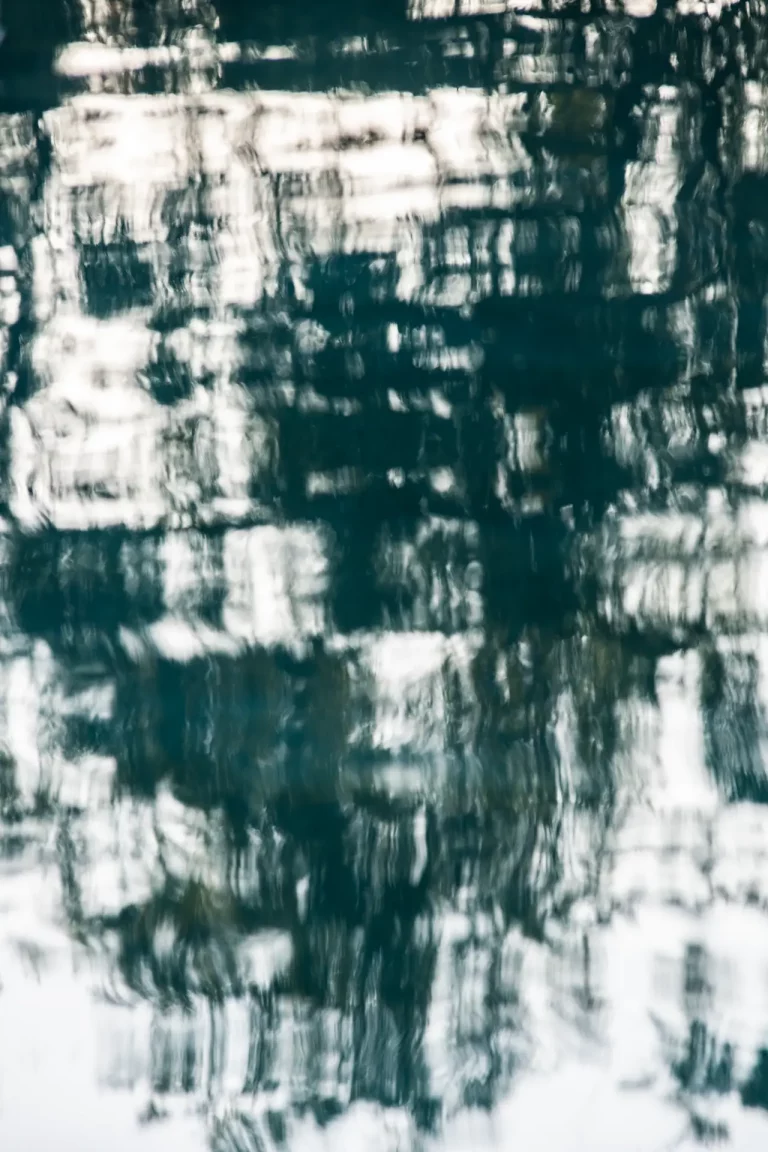 Annette Horn Photography – actually i am still mourning