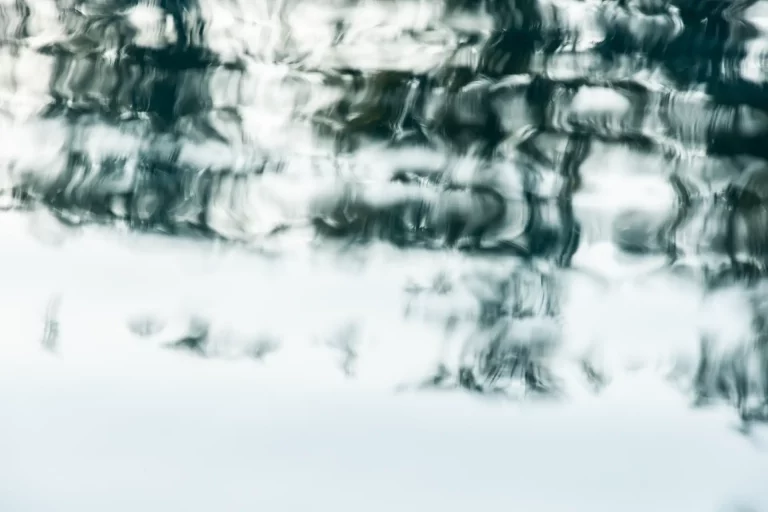 Annette Horn Photography – actually i am still mourning