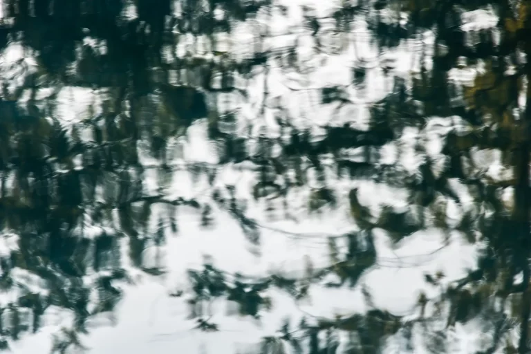 Annette Horn Photography – actually i am still mourning