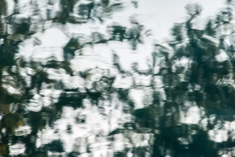 Annette Horn Photography – actually i am still mourning