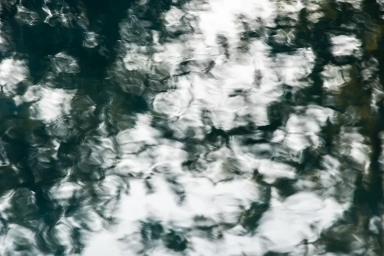 Annette Horn Photography – actually i am still mourning