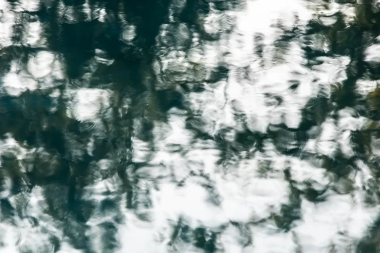 Annette Horn Photography – actually i am still mourning