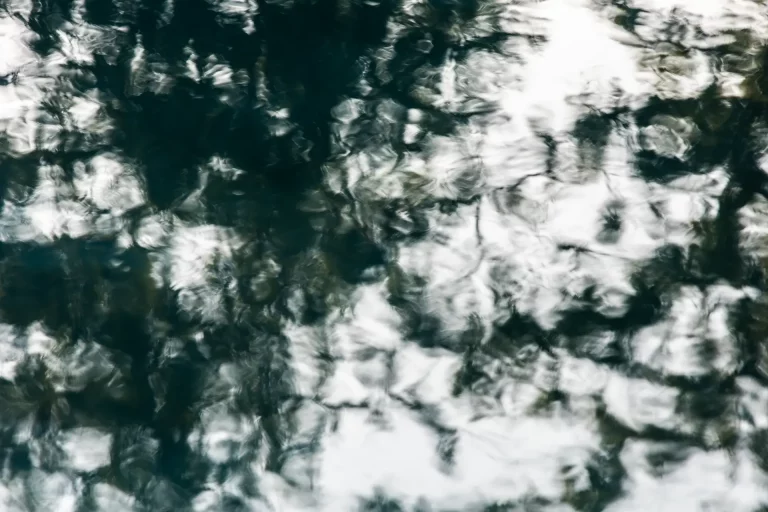 Annette Horn Photography – actually i am still mourning