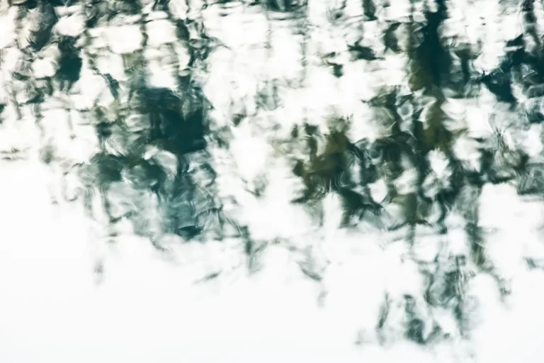 Annette Horn Photography – actually i am still mourning