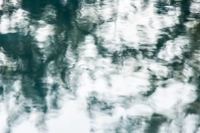 Annette Horn Photography – actually i am still mourning