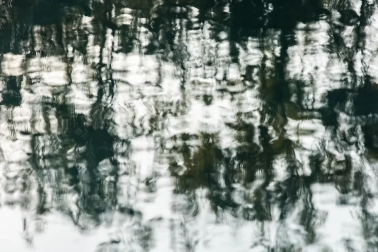 Annette Horn Photography – actually i am still mourning