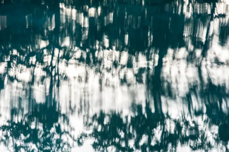 Annette Horn Photography – actually i am still mourning