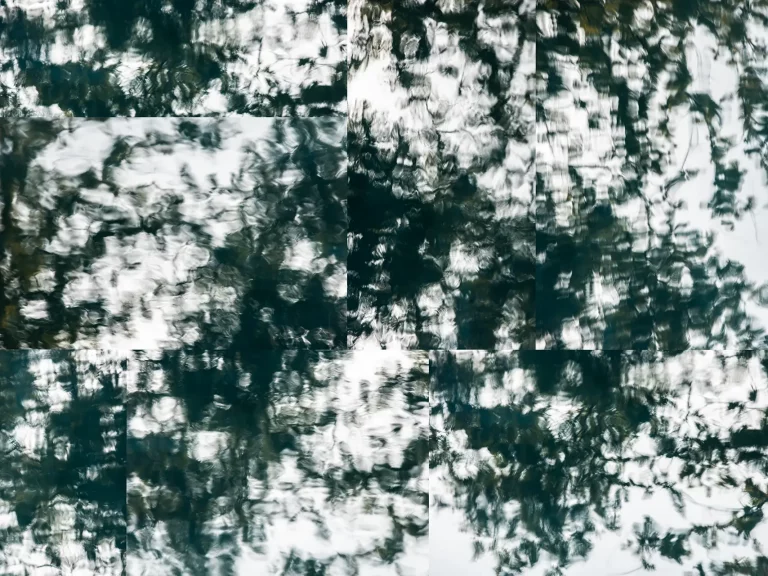 Annette Horn Photography – actually i am still mourning