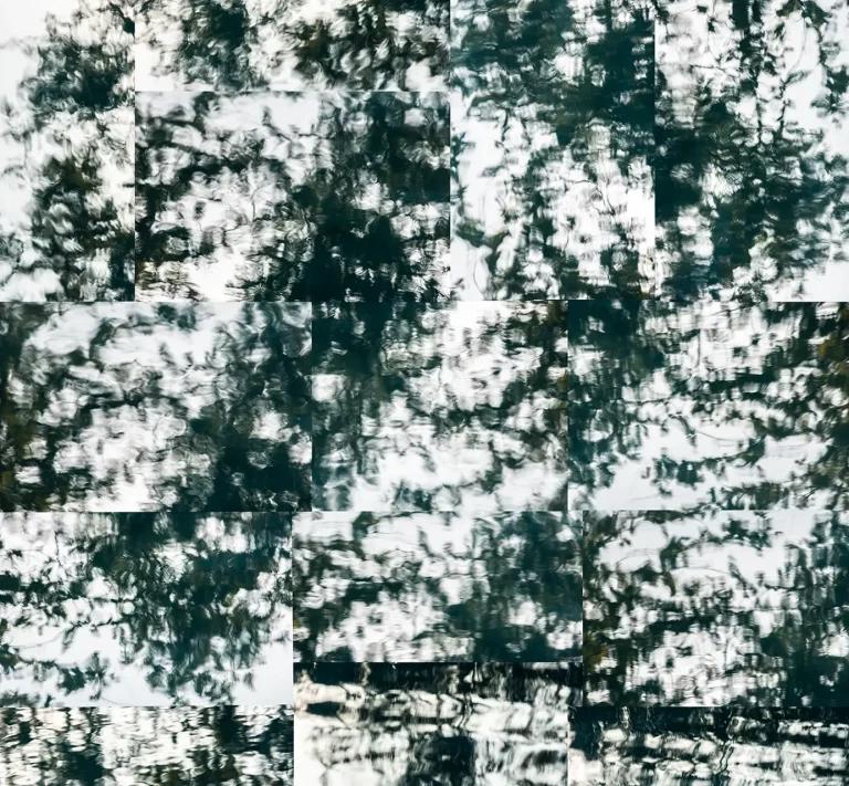 Annette Horn Photography – actually i am still mourning