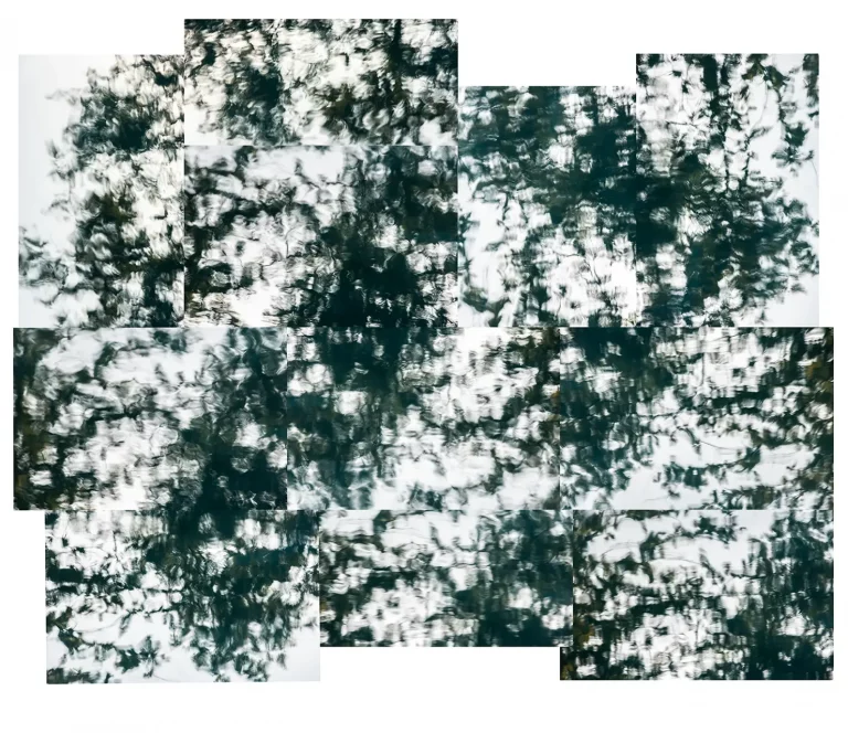 Annette Horn Photography – actually i am still mourning