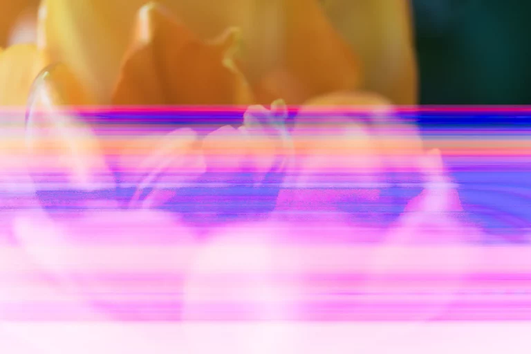 Annette Horn Photography – anomalie