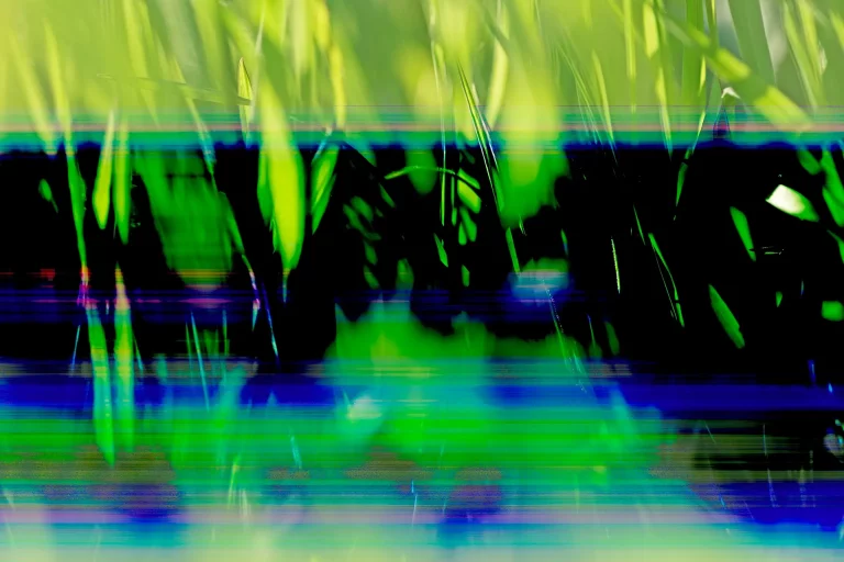 Annette Horn Photography – anomalie