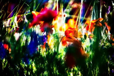 Annette Horn Photography – being in the middle of light