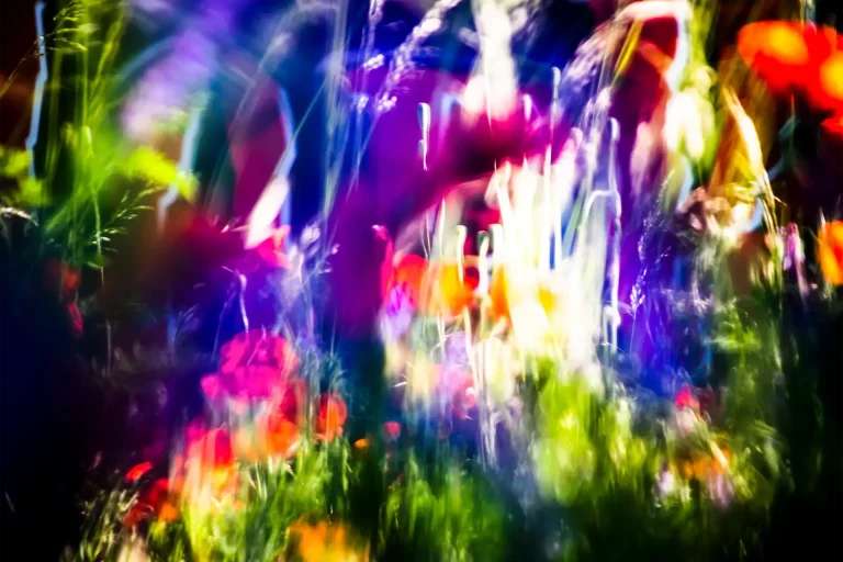 Annette Horn Photography – being in the middle of light