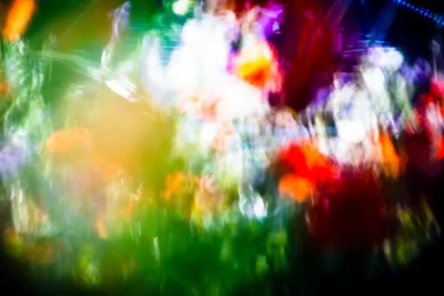 Annette Horn Photography – being in the middle of light