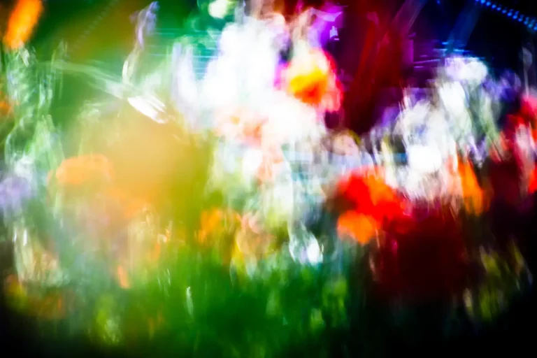 Annette Horn Photography – being in the middle of light