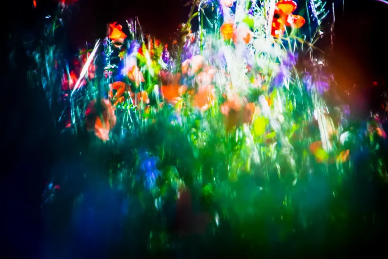 Annette Horn Photography – being in the middle of light