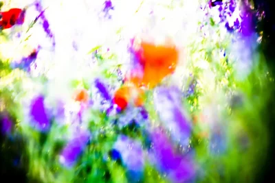 Annette Horn Photography – being in the middle of light