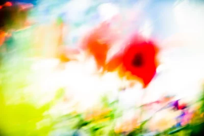 Annette Horn Photography – being in the middle of light