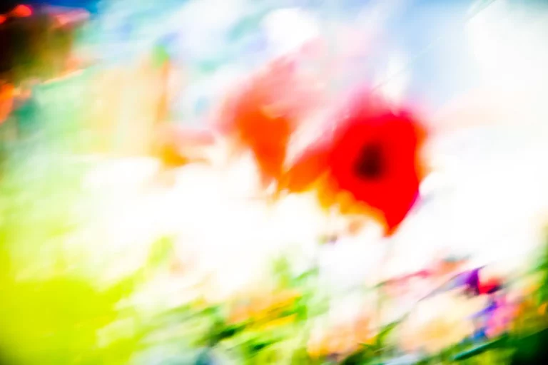 Annette Horn Photography – being in the middle of light