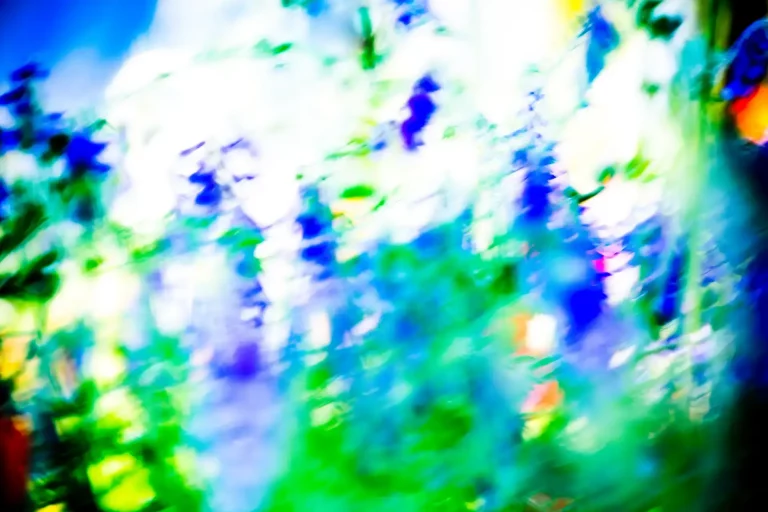 Annette Horn Photography – being in the middle of light