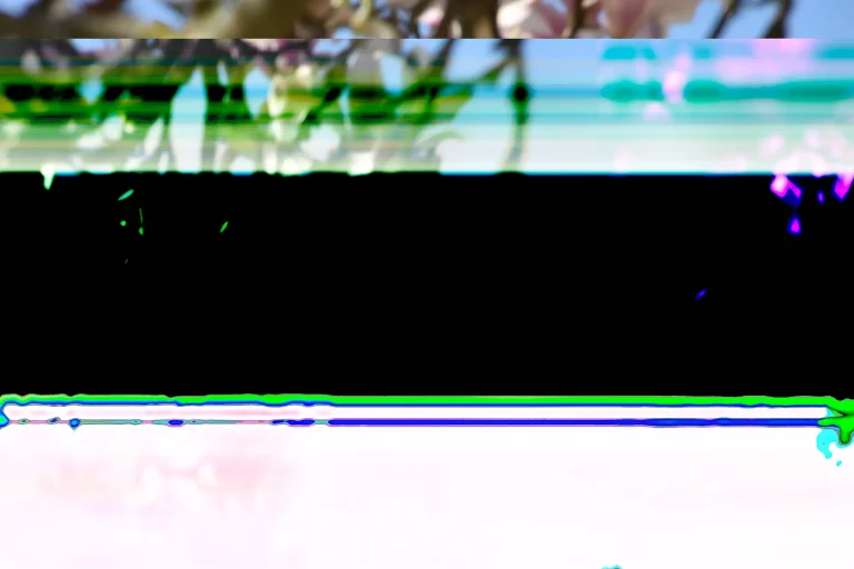 Annette Horn Photography – from the end to the beginning