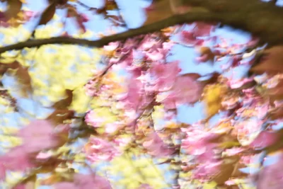 Annette Horn Photography – nürnberg 04