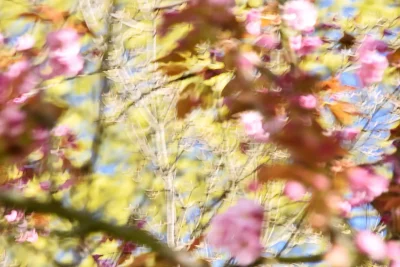 Annette Horn Photography – nürnberg 08