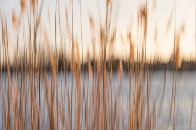 Annette Horn Photography – nürnberg 17