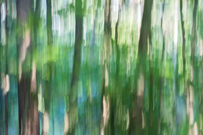 Annette Horn Photography – nürnberg 21