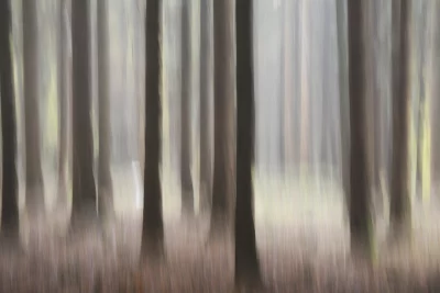 Annette Horn Photography – things i've seen, places i've been 15