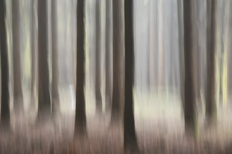 Annette Horn Photography – things i've seen, places i've been 15