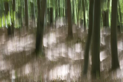 Annette Horn Photography – things i've seen, places i've been 17