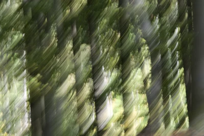 Annette Horn Photography – things i've seen, places i've been 18