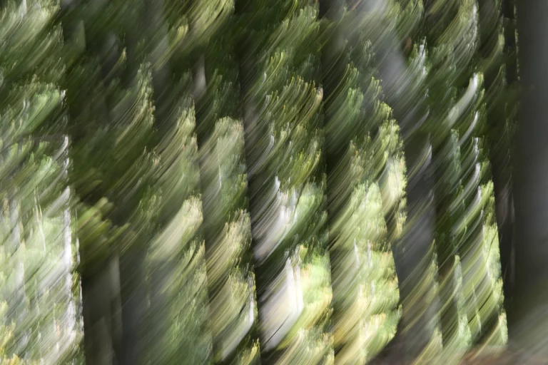 Annette Horn Photography – things i've seen, places i've been 18