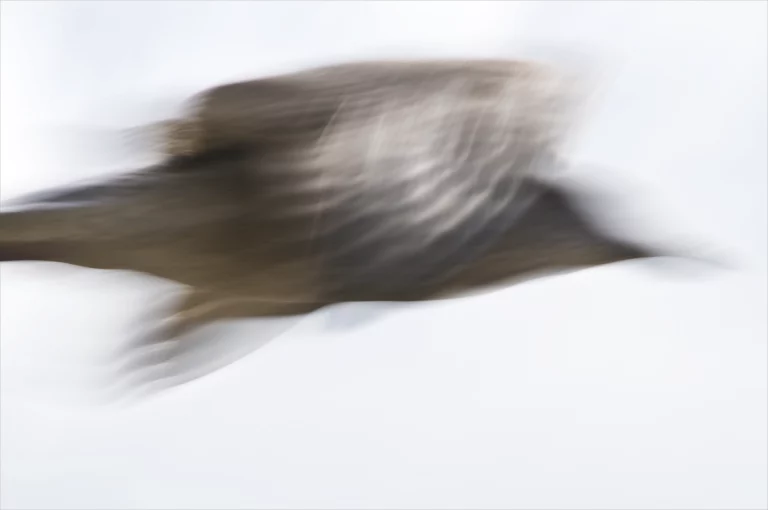 Annette Horn Photography – things i've seen, places i've been 19