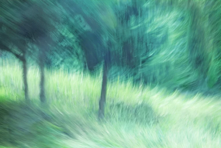 Annette Horn Photography – things i've seen, places i've been 22