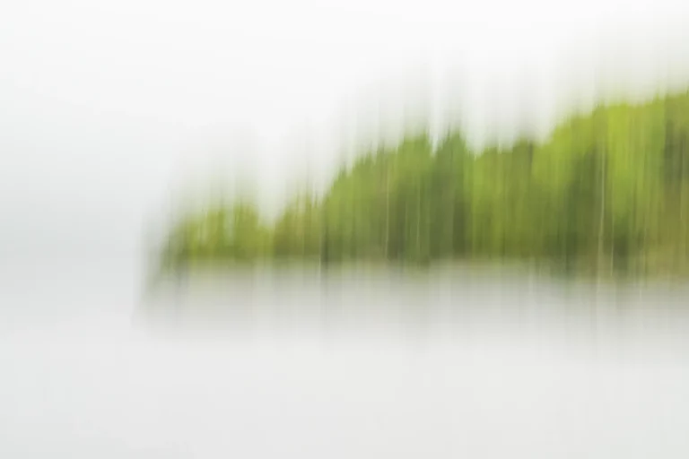 Annette Horn Photography – visual diary