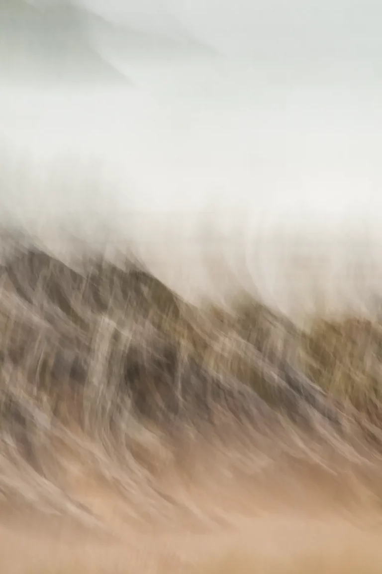 Annette Horn Photography – visual diary