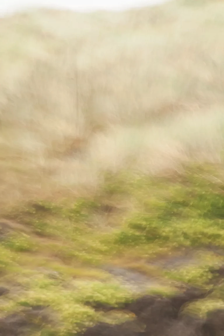 Annette Horn Photography – visual diary