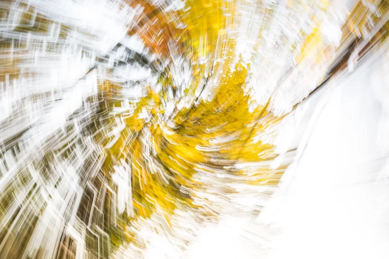 Annette Horn Photography – wald 13