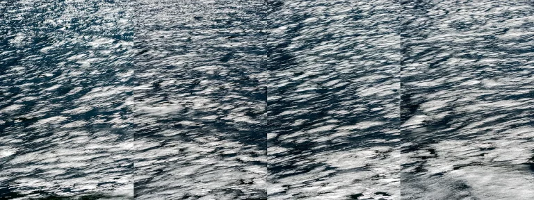 Annette Horn Photography – whispers