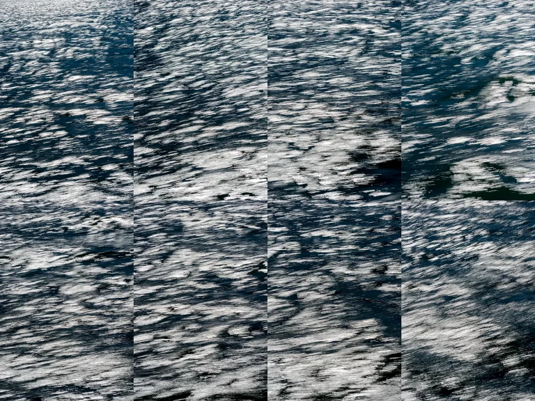 Annette Horn Photography – whispers