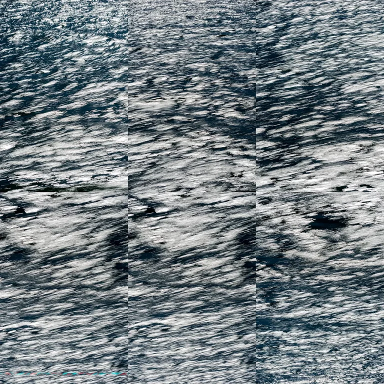 Annette Horn Photography – whispers