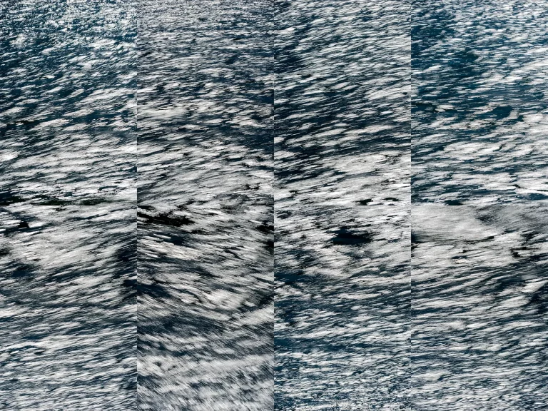 Annette Horn Photography – whispers