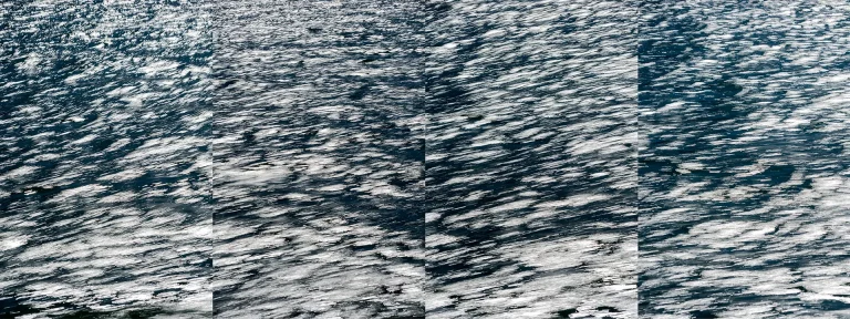 Annette Horn Photography – whispers