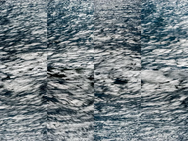 Annette Horn Photography – whispers